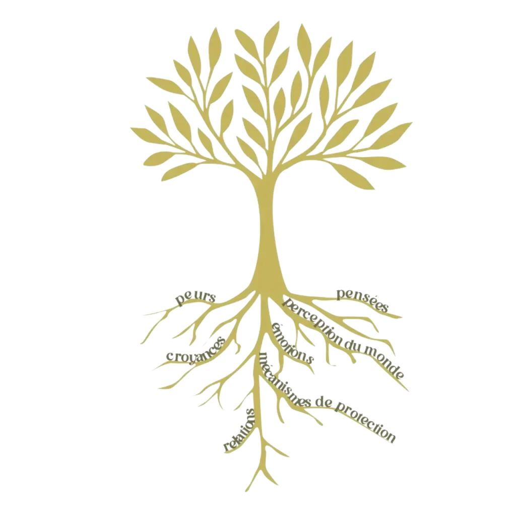 Analyse des schémas émotionnels et des blocages profonds - Manon Pugliese neuro-coaching